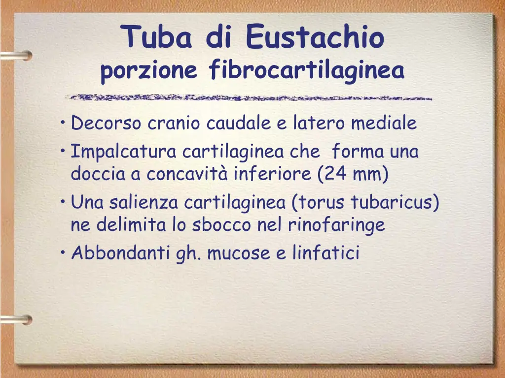 tuba di eustachio porzione fibrocartilaginea