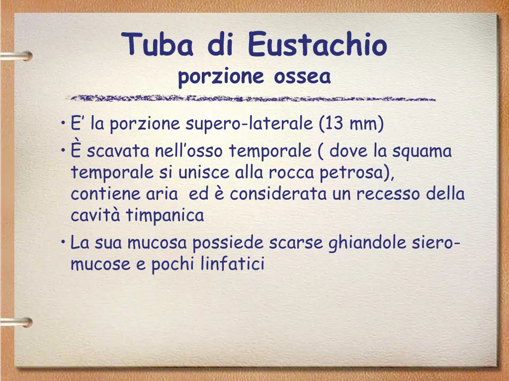 tuba di eustachio porzione ossea