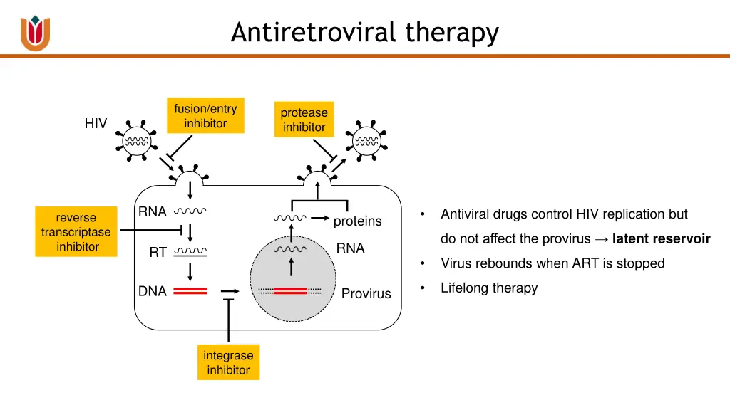 antiretroviral therapy