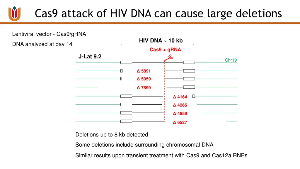 cas9 attack of hiv dna can cause large deletions