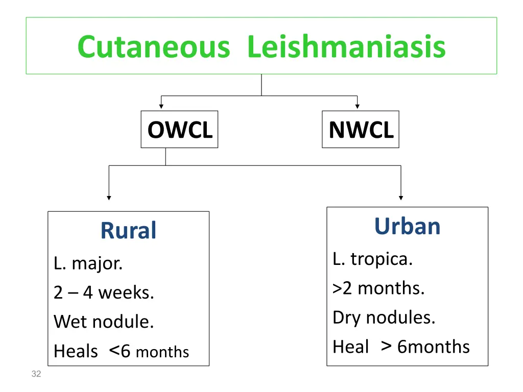 cutaneous leishmaniasis