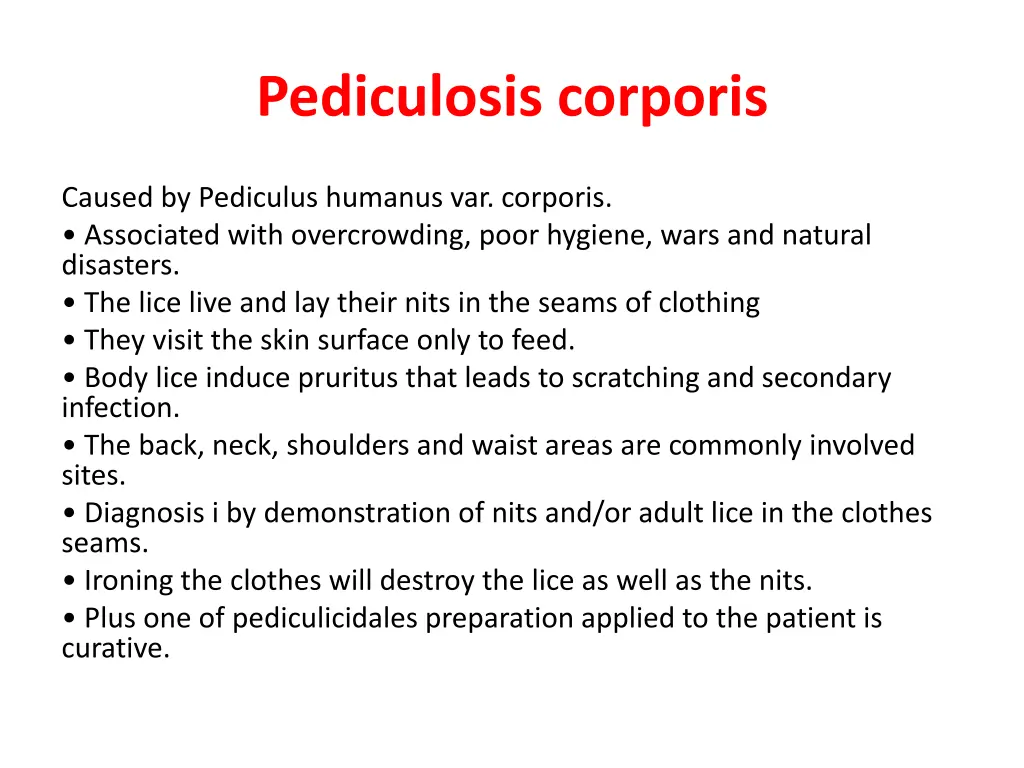 pediculosis corporis