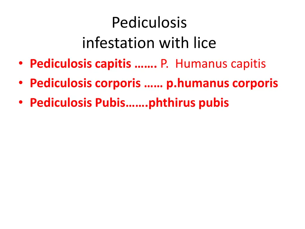 pediculosis infestation with lice pediculosis