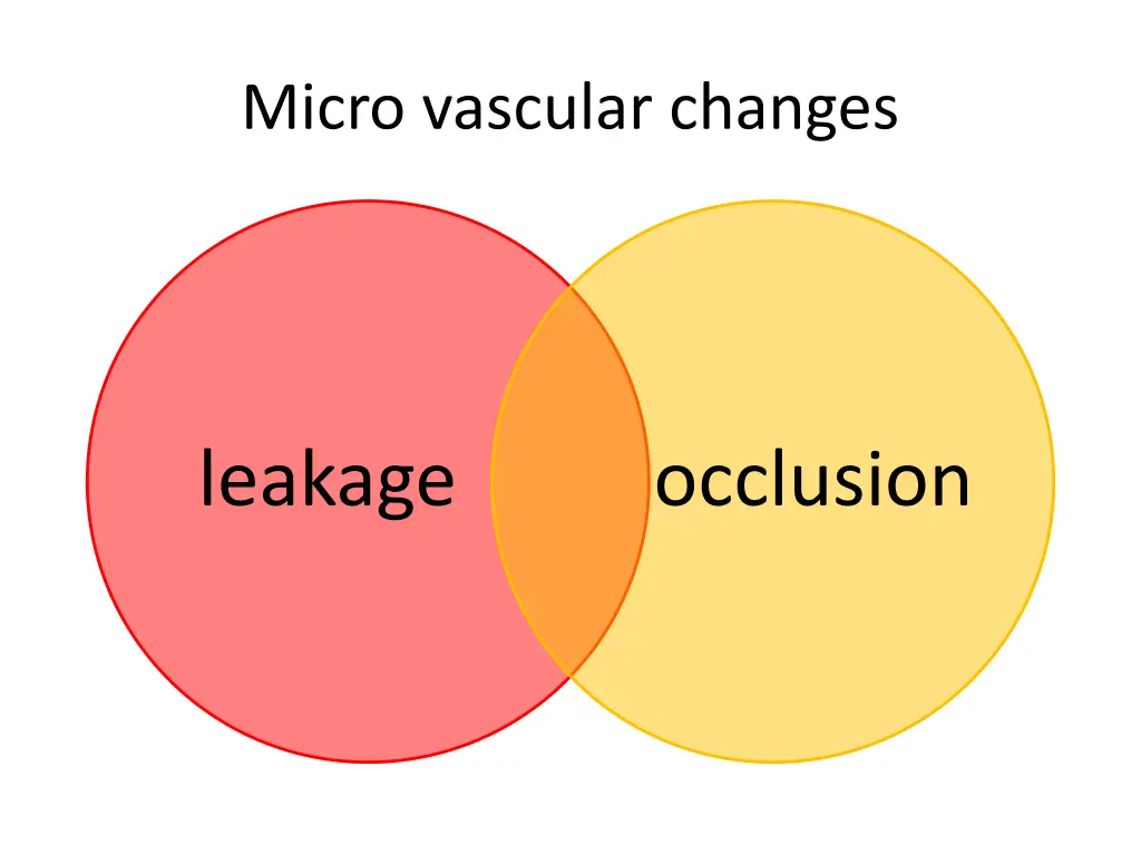 micro vascular changes