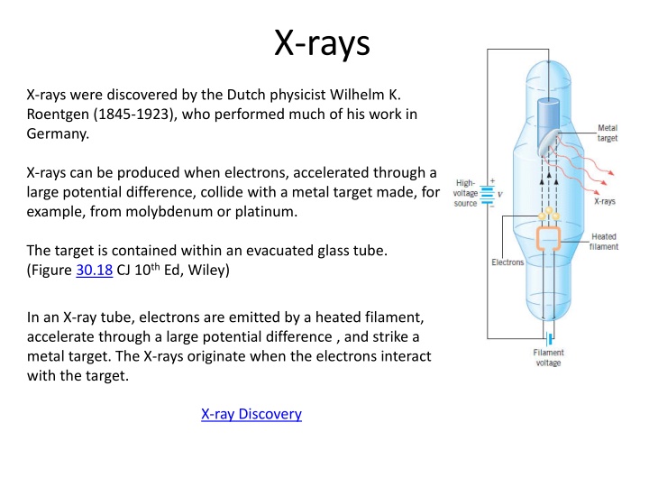 x rays