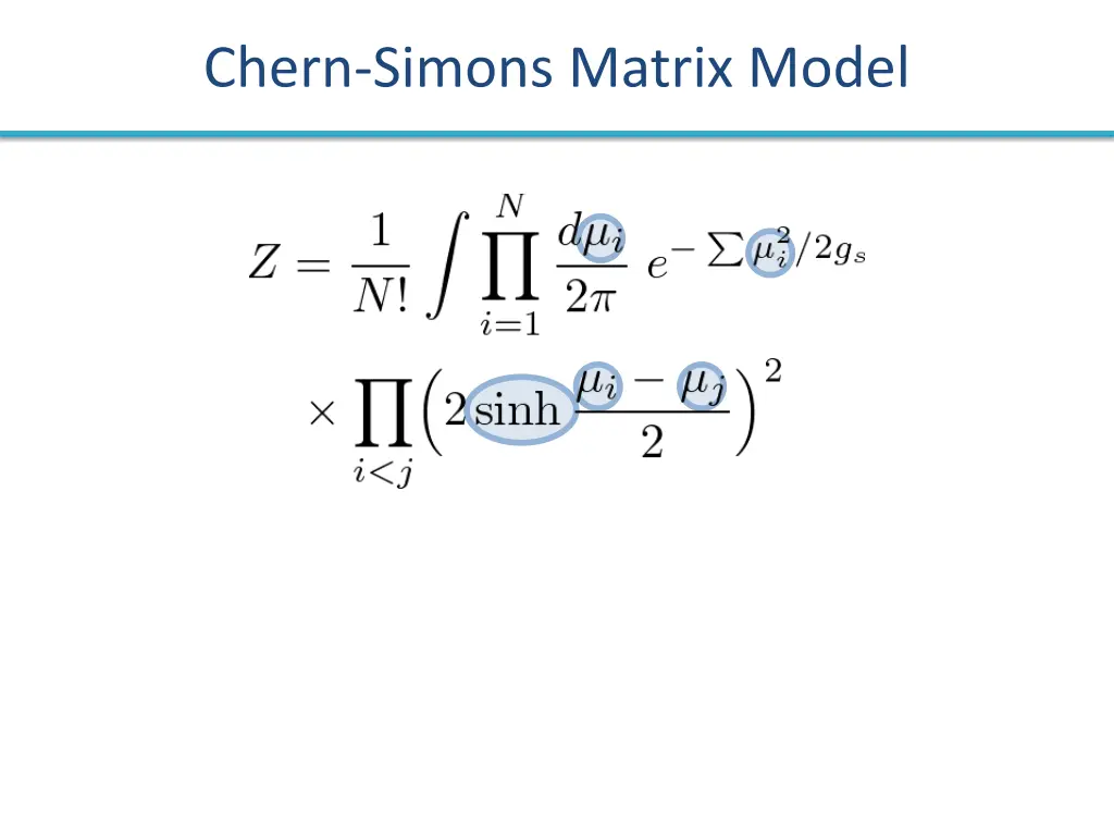 chern simons matrix model