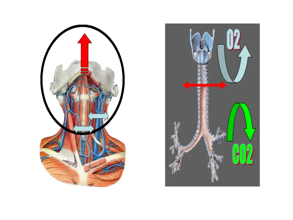 slide7