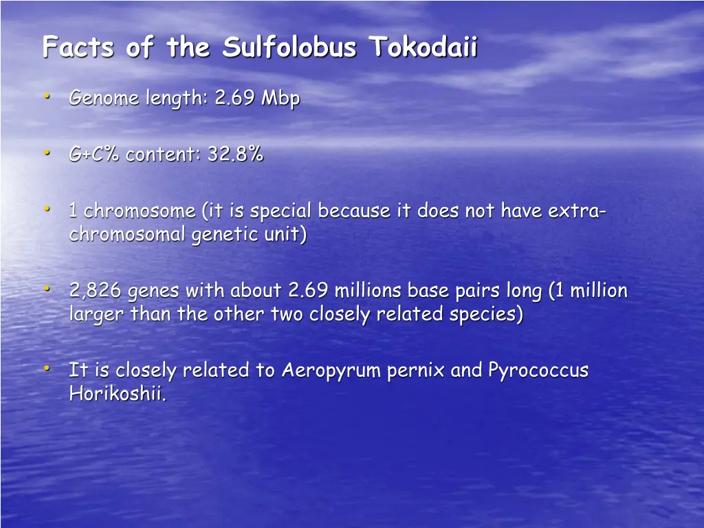 facts of the sulfolobus tokodaii