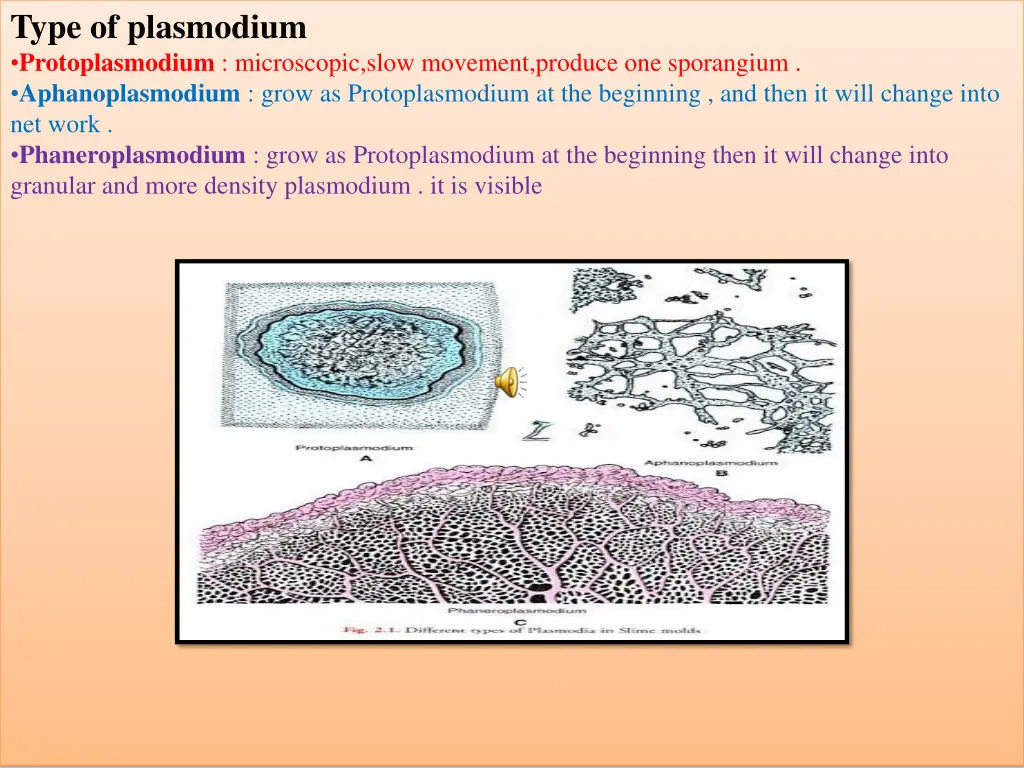 type of plasmodium protoplasmodium microscopic