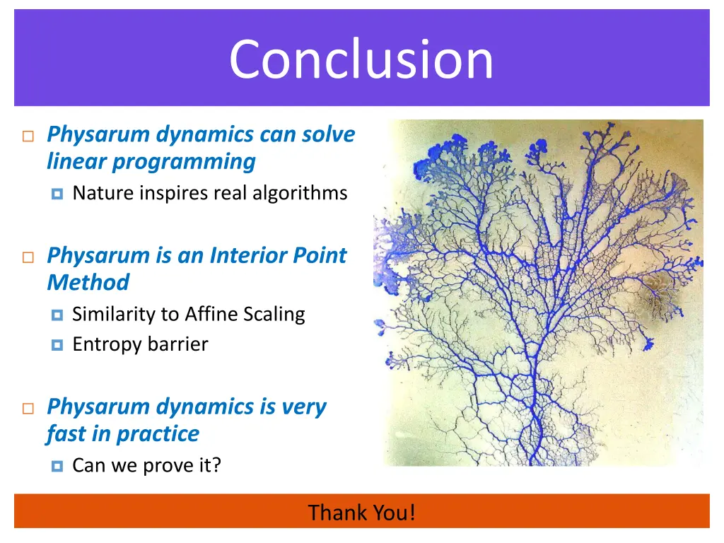 conclusion