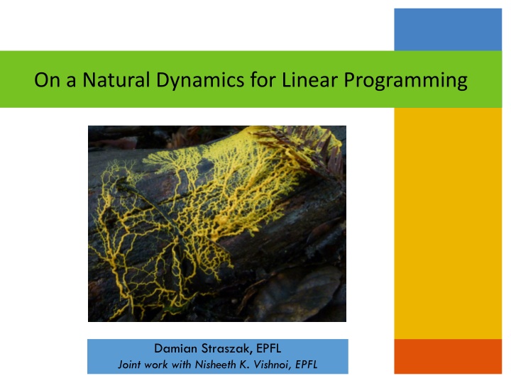 on a natural dynamics for linear programming