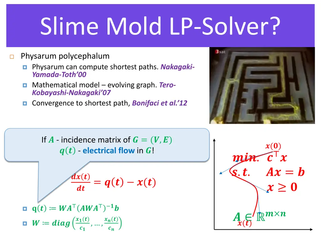 slime mold lp solver