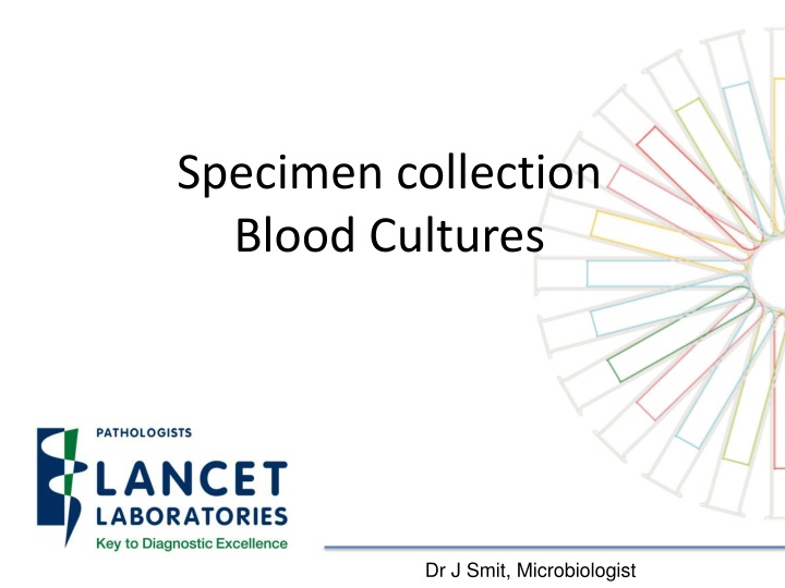 specimen collection blood cultures