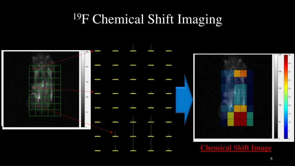 19 f chemical shift imaging
