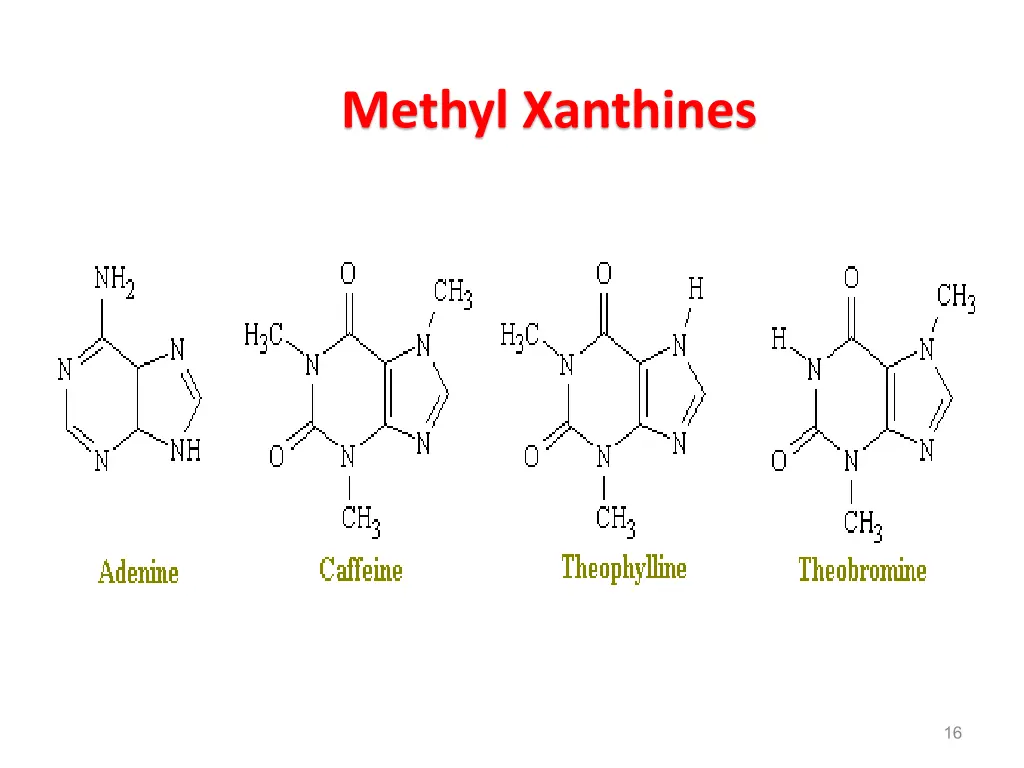 methyl xanthines