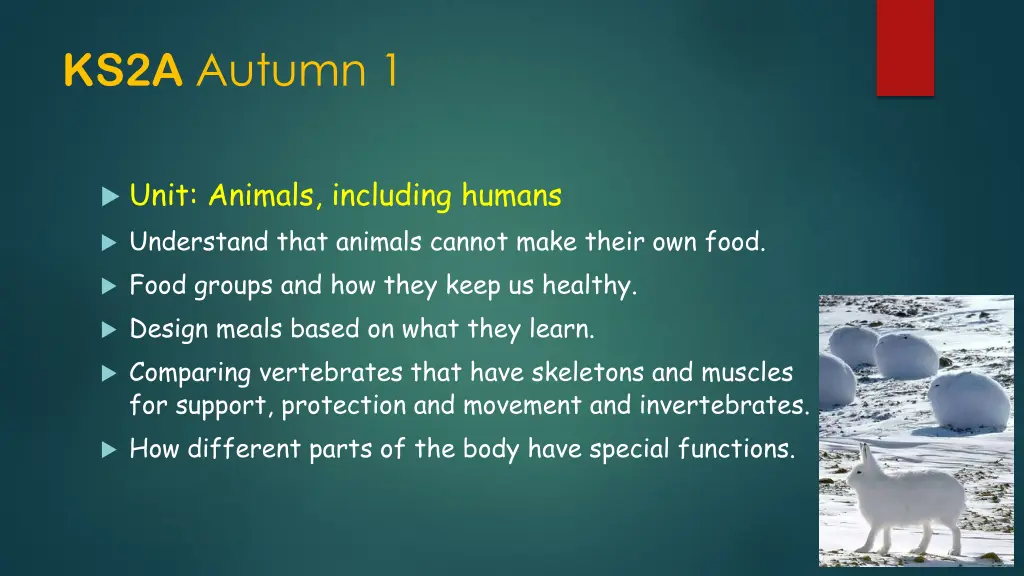 ks2a autumn 1