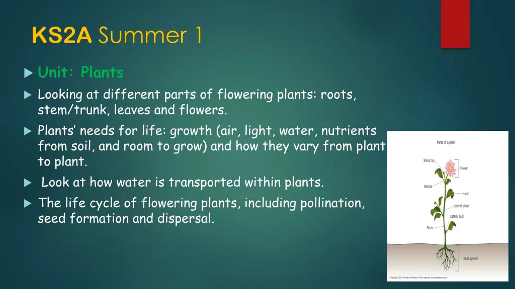 ks2a summer 1