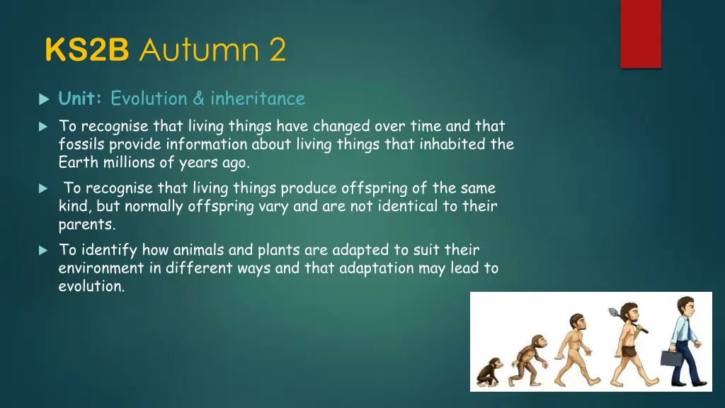 ks2b autumn 2