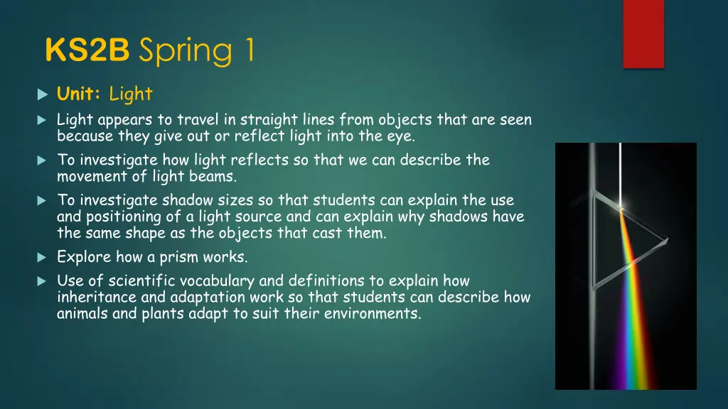 ks2b spring 1