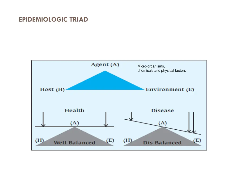 epidemiologic triad 1
