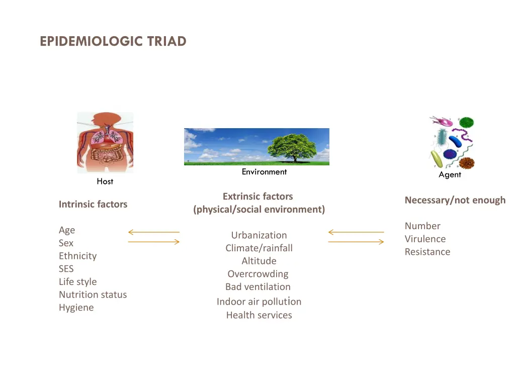 epidemiologic triad 2