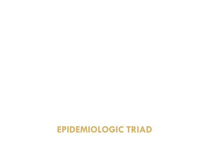 epidemiologic triad