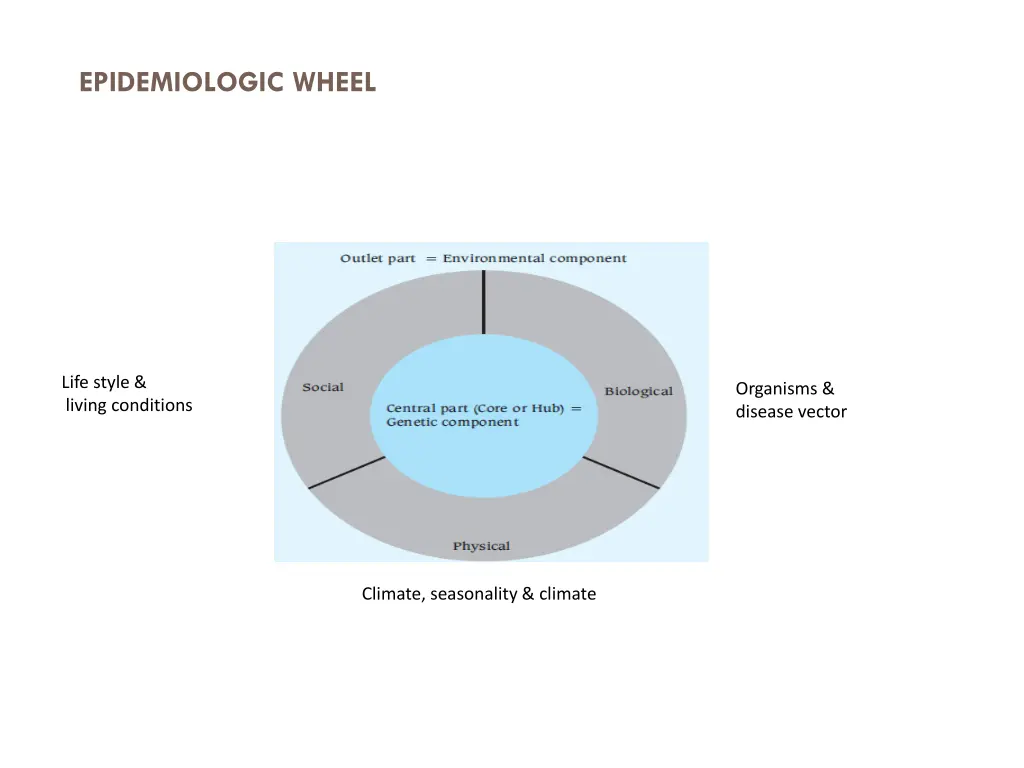 epidemiologic wheel