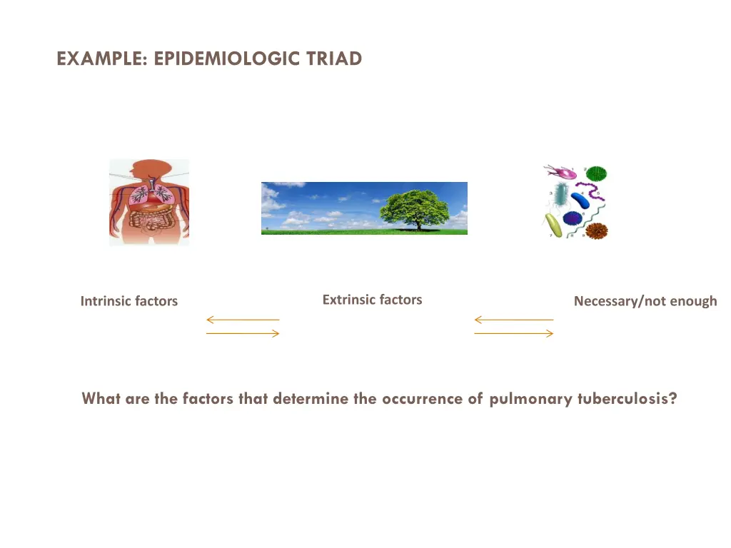 example epidemiologic triad