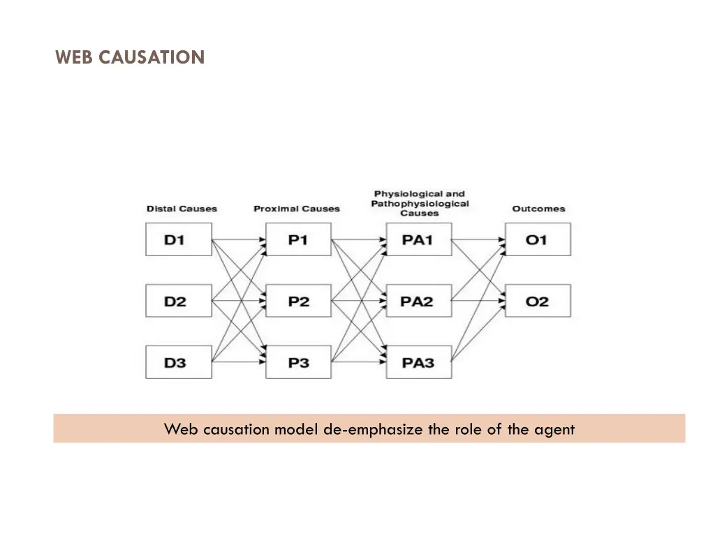 web causation