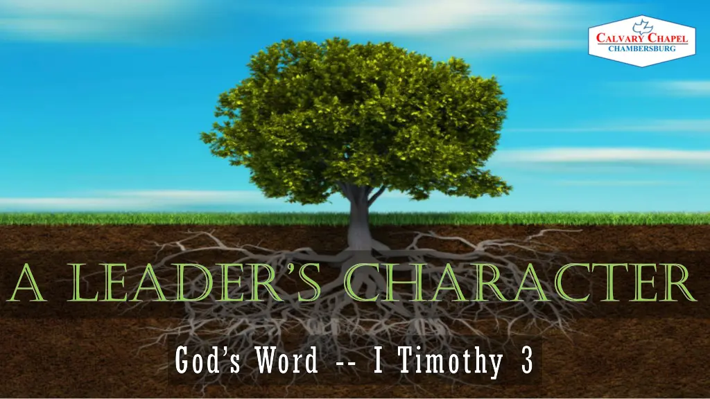 a leader s character 1