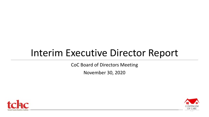 interim executive director report