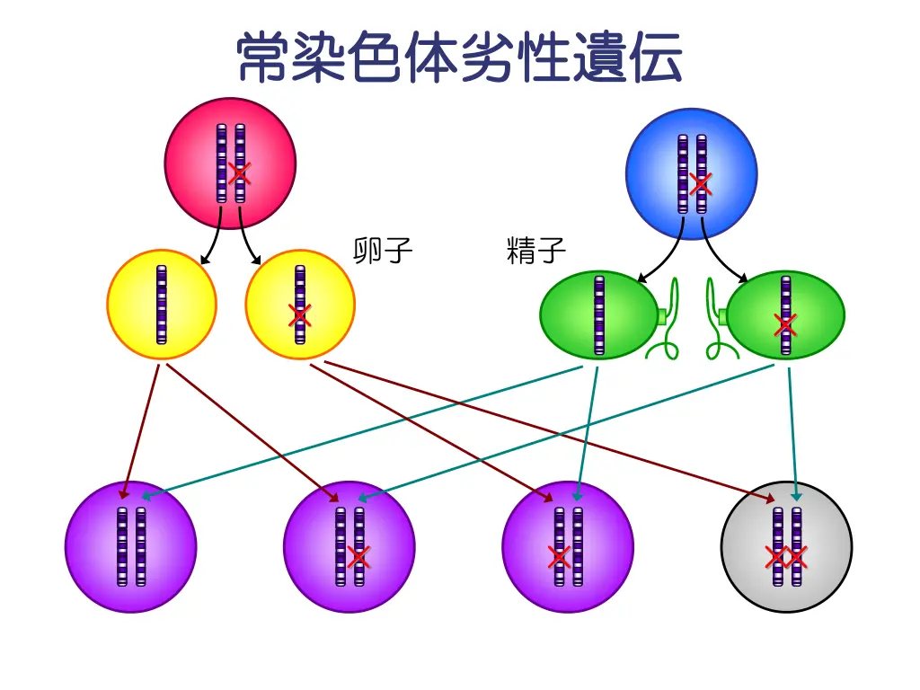 slide10