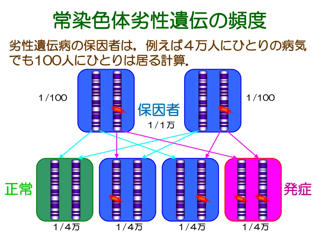 slide12