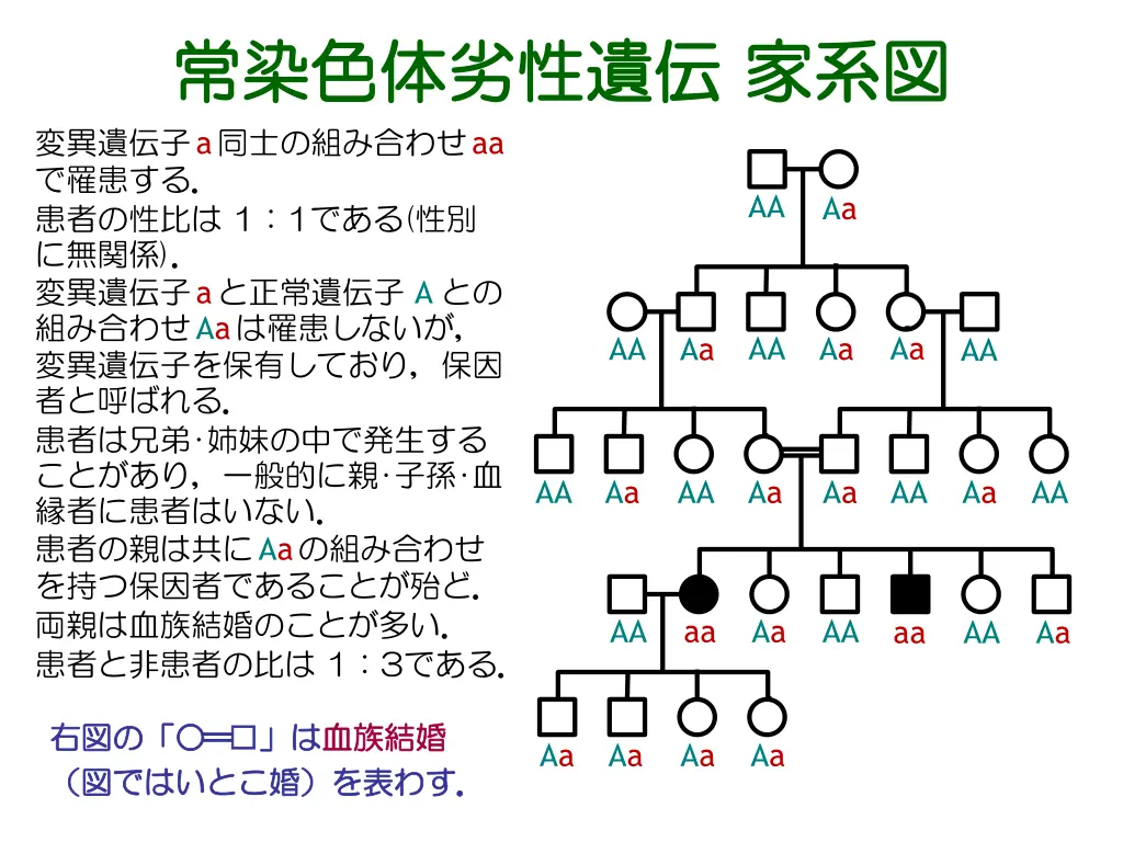 slide15