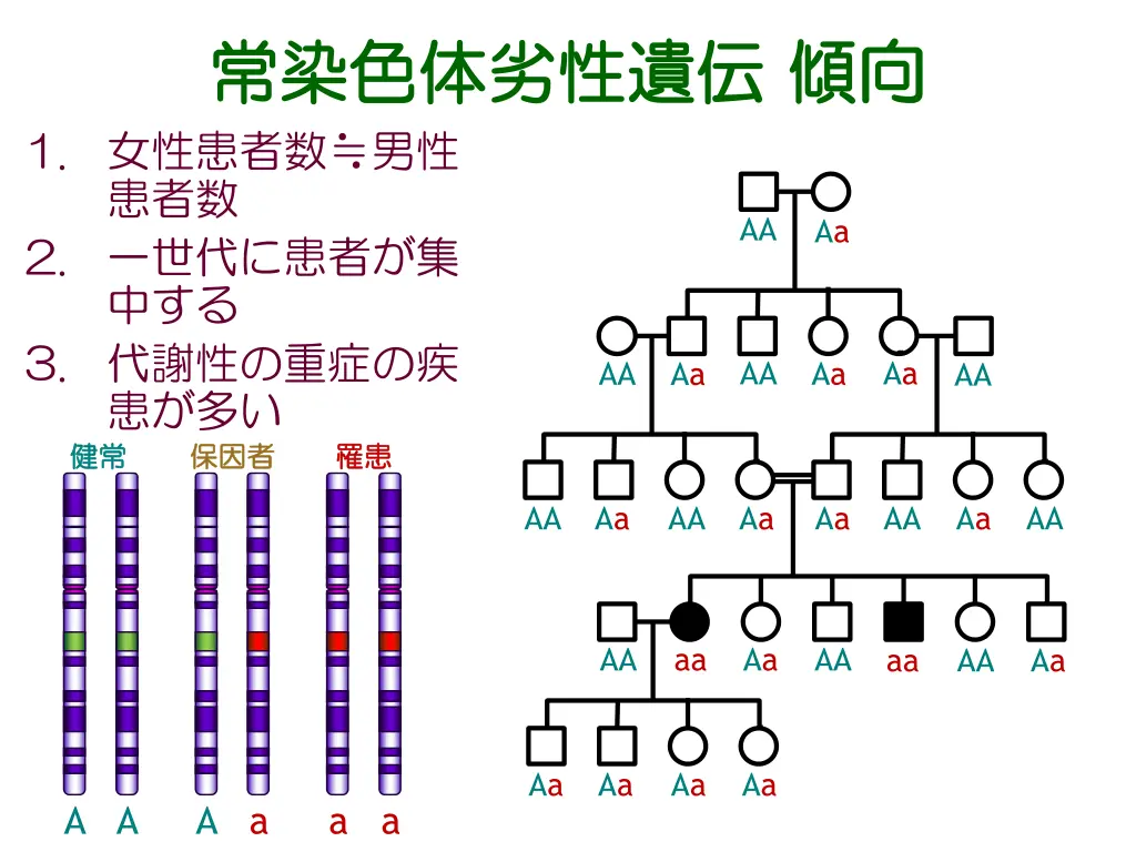 slide16