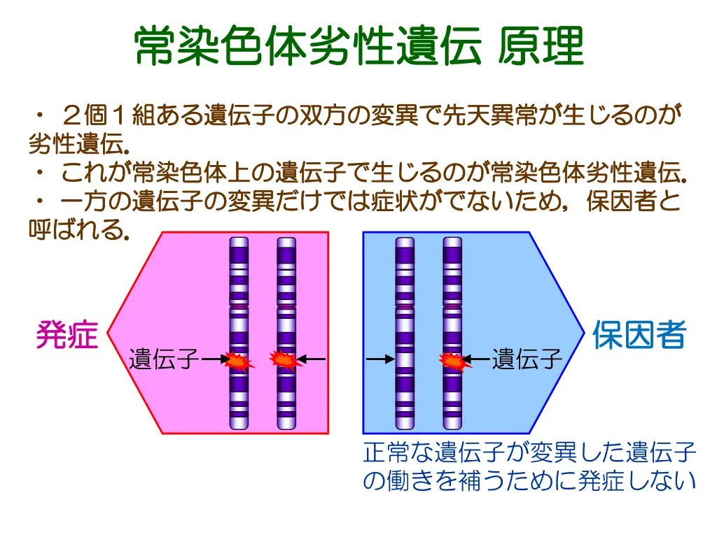 slide3