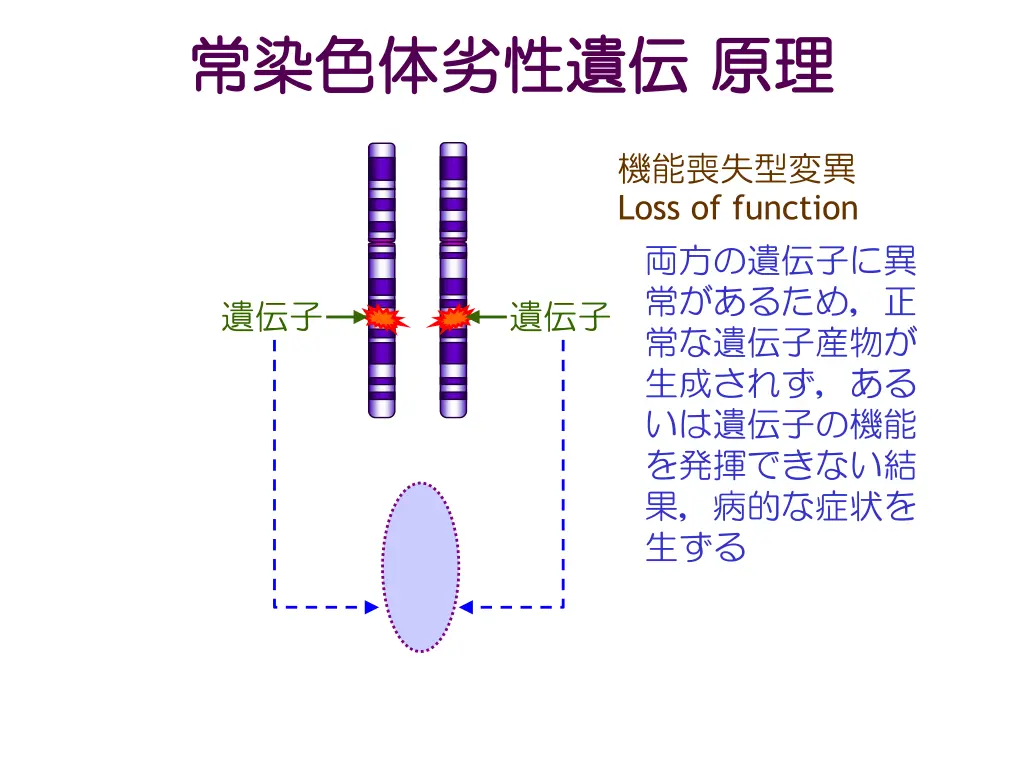 slide4