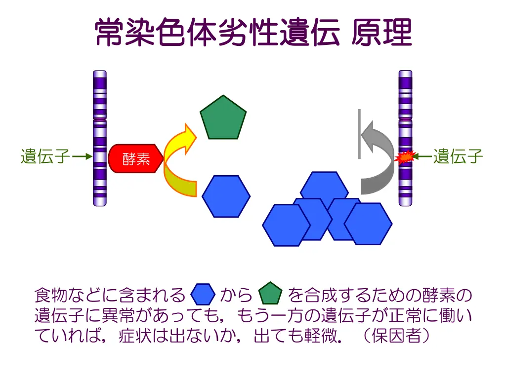 slide5