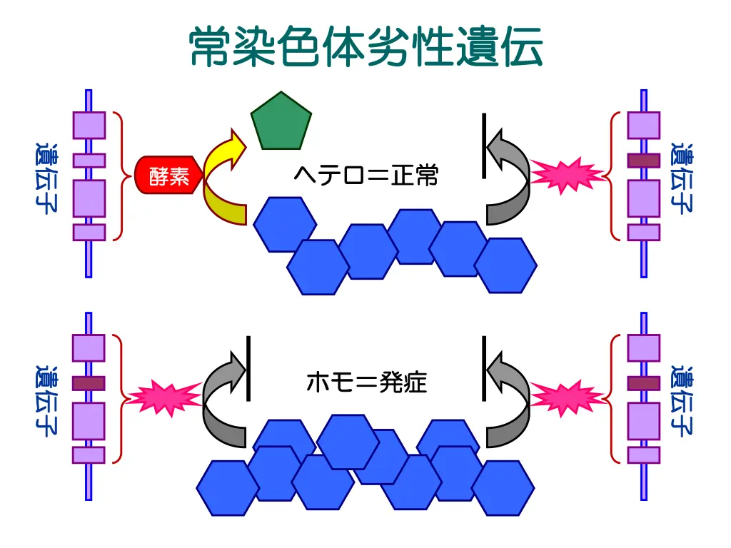 slide6