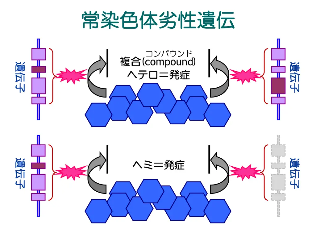 slide7