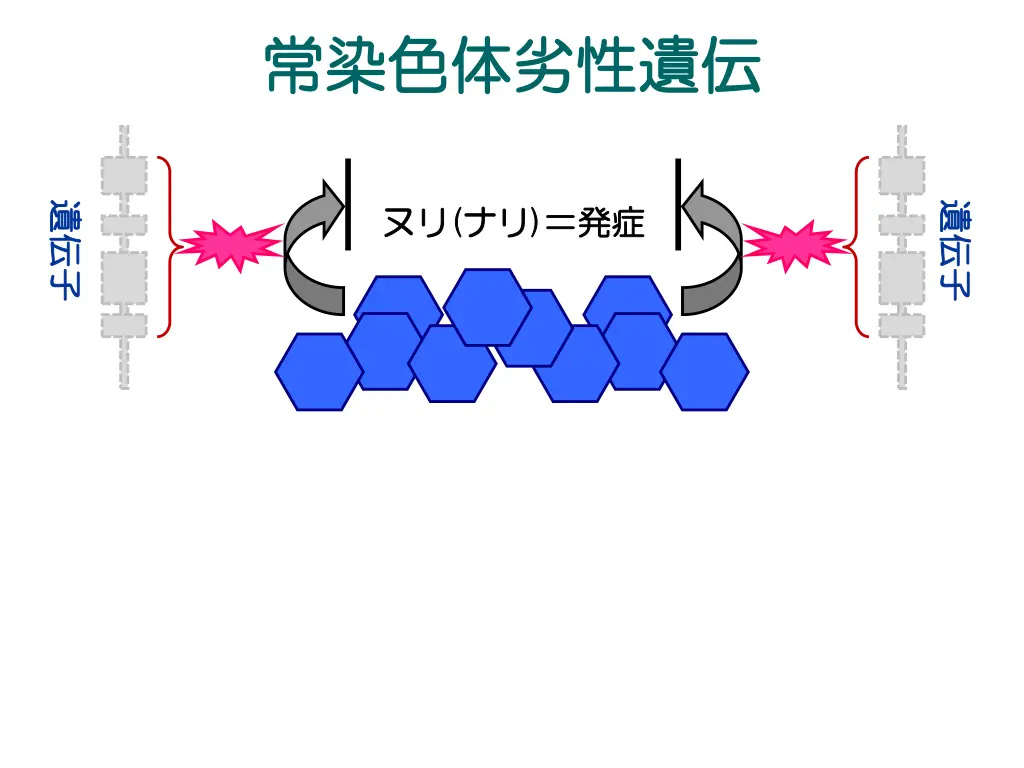 slide8