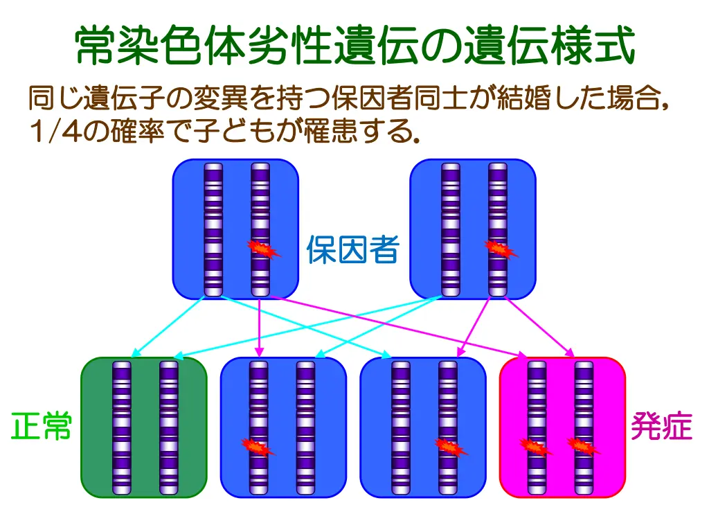 slide9
