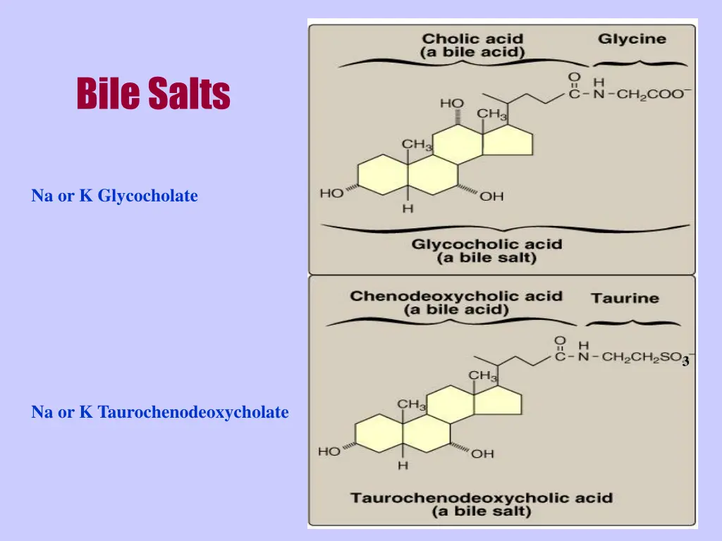 bile salts