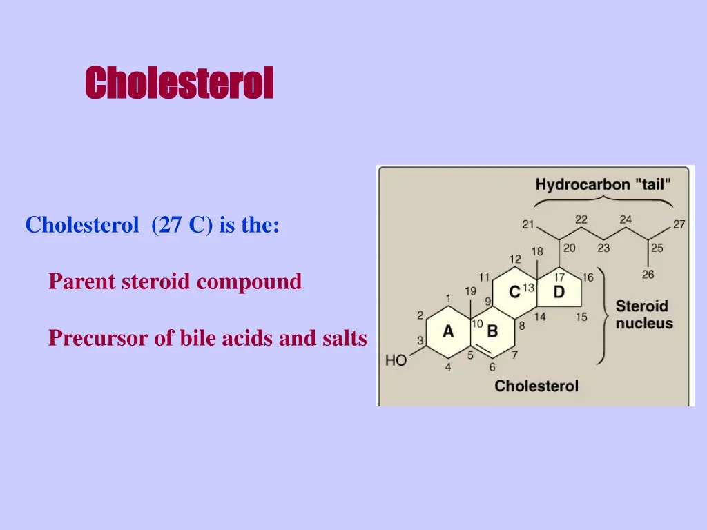 cholesterol cholesterol