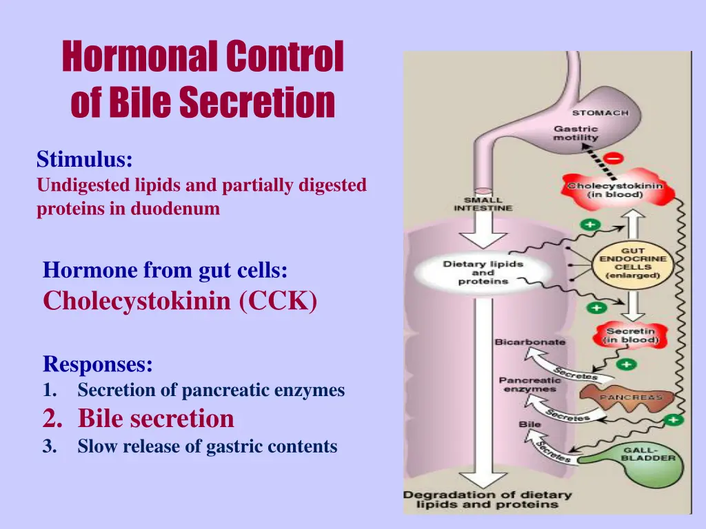 hormonal control of bile secretion