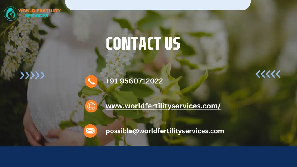 contact us