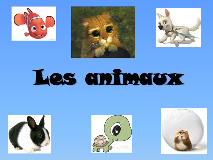 les les animaux animaux