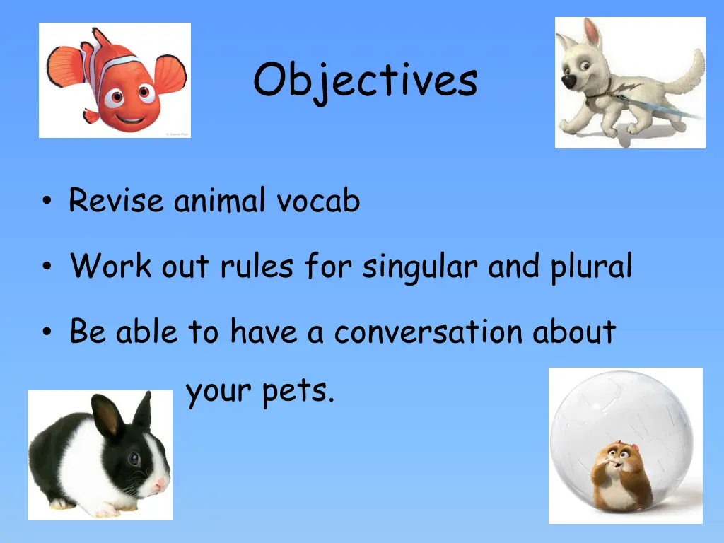 objectives