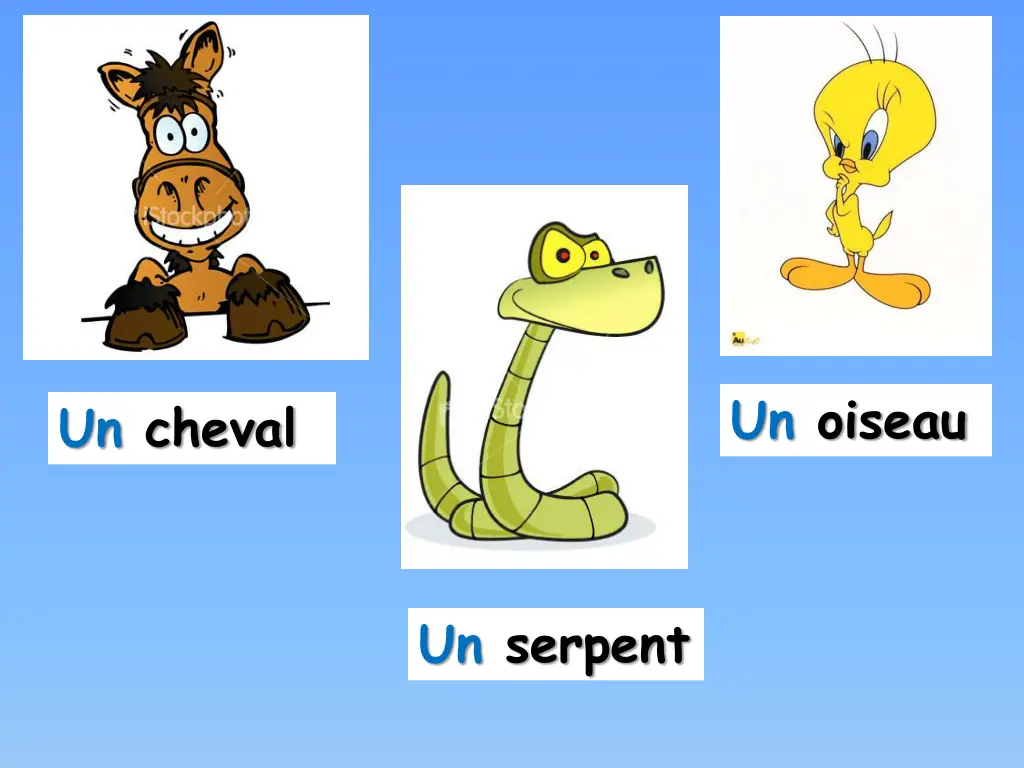un oiseau