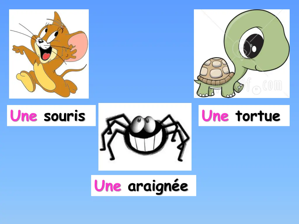 une souris